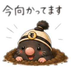 Aoshiba_20260501224103