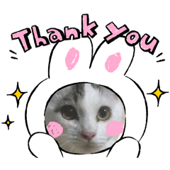 Yukie_20260501223614