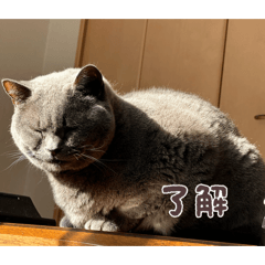 MOMO_20260501224616