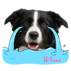 MuMaa