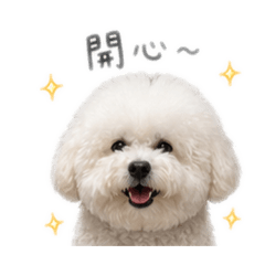 Q比bbbbbb