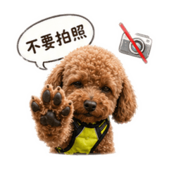 蔡阿皮～就是皮