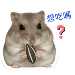 陪伴在身邊