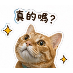 阿寶帥帥