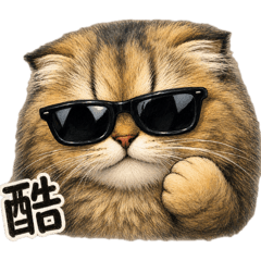 邦妮喵喵
