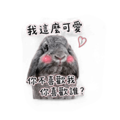麻糬白糖粿