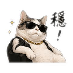 反差帥貓（兄弟風）