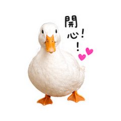 鴨鴨不一樣3♡