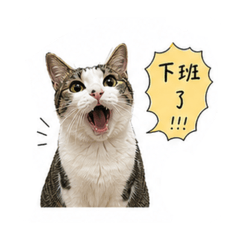 桑桑工作日