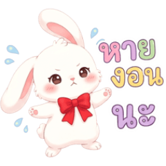 Susie the cute bunny.