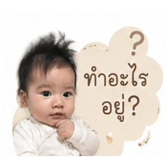 Oneday_20260428094925