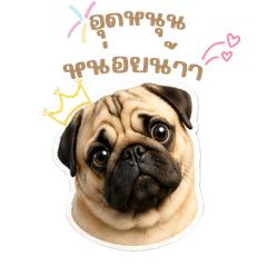 Puggy wiggy