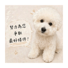 Pika貸款業務