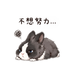 兔寶寶不想努力了