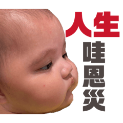 舟舟日常