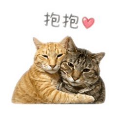 小胖兄弟