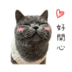 芝麻的常用語