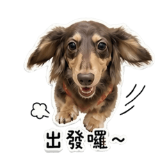 小秋寶-第一彈