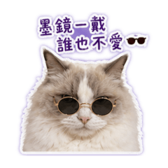 厭世奶茶貓貓