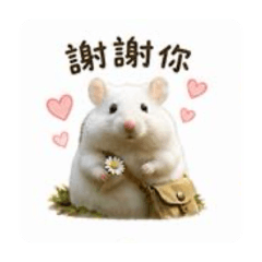 旅行小白鼠