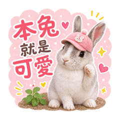 本兔就是可愛