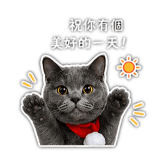 Wu家貓寶