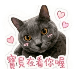 三元崽