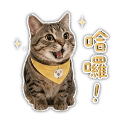 豆豆是水瓶座