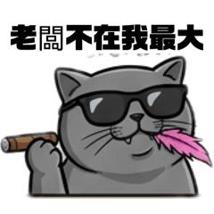 辦公室打工貓