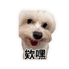 我是吉多