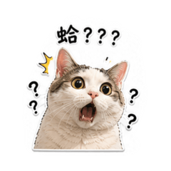 崩潰貓（表情包）