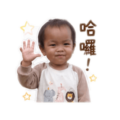 晨寶表情日常