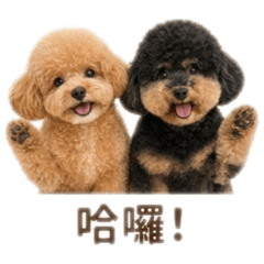 妮妮&薯球