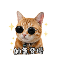 好野阿肥