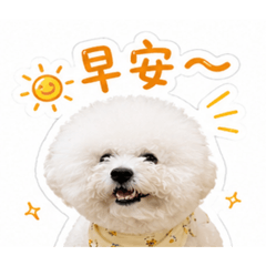 大糯米