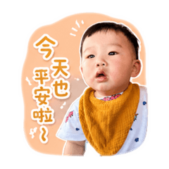 威宸寶寶2