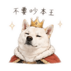 小肉包生活日常