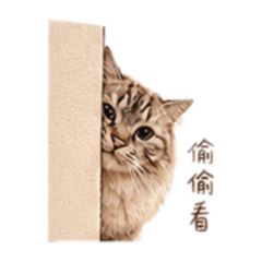 米拉諾