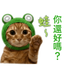 皮卡&皮蛋 ㈠