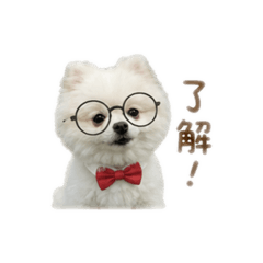 小小冒險家-耍萌篇