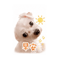 我的寶貝的表情貼圖