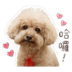 LUCKY不愛洗澡