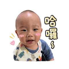 濠哥日常