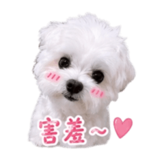 Q爺爺