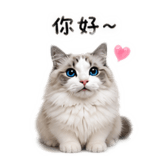 妹妹2-