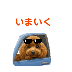 Choco_20260501221801
