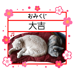 NekoShigeru_20260501222000