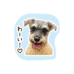kawano_20260501221810