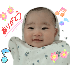 tora_20260501222155