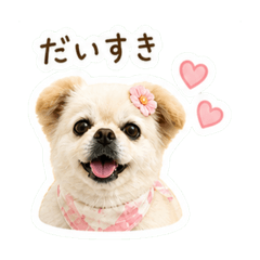 momoka_20260501222209